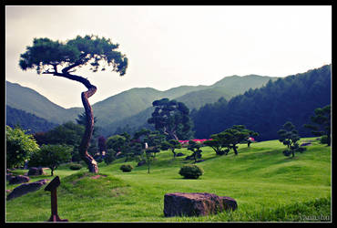 Garden of the mourning calm