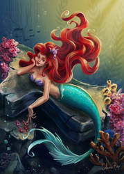 Ariel by solanarey