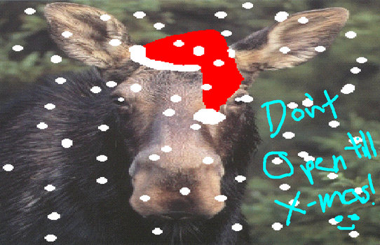 Merry moose-mas, Dont open til