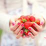 Irresistible Strawberries - Day 132
