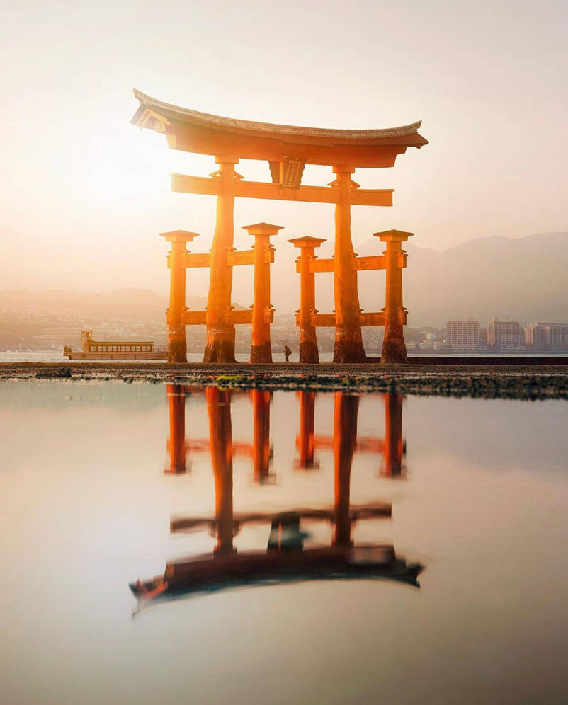 Japanese Rising Sun Tree Rising sun in Japan by Photography19 on DeviantArt