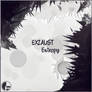 Exzaust - Entropy