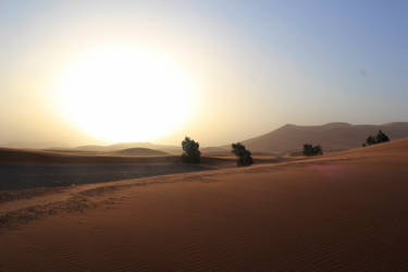 Vastness - Sahara Desert