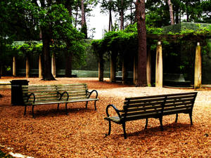 HDR Park Benches