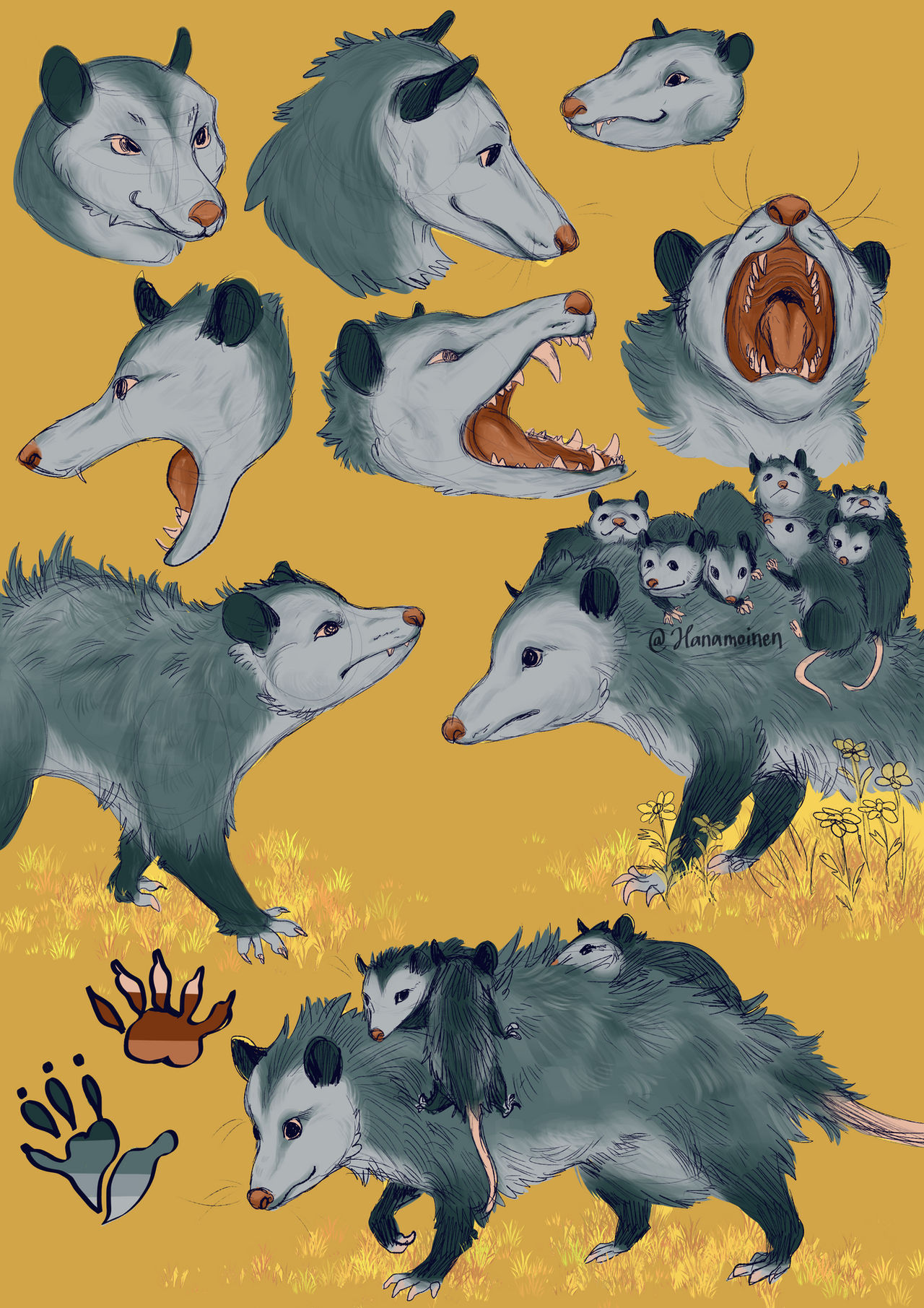 OPOSSUM design