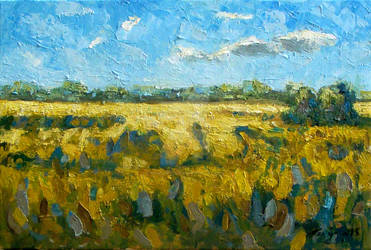 yellow fields with some clouds