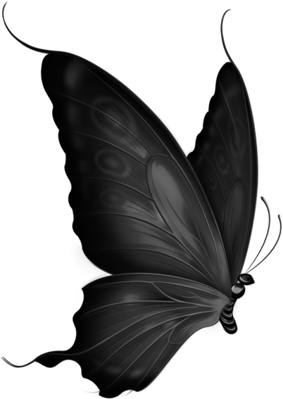 Black and White Butterflies by Hummingbird26 on DeviantArt