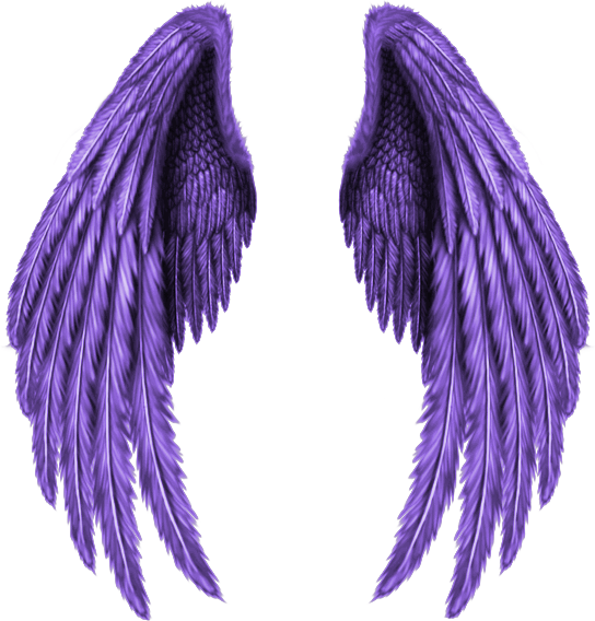 purple wings png by yotoots on DeviantArt