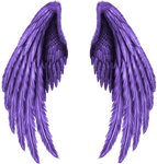 purple wings png