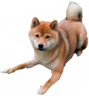 dbnvmn1-268a9bcc-6a67-4fe2-af7e-3c598b20426c.png