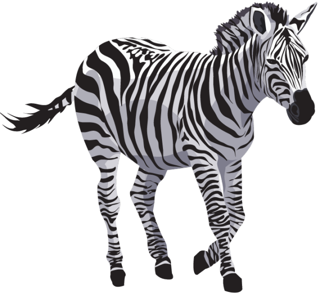 Zebra-PNG