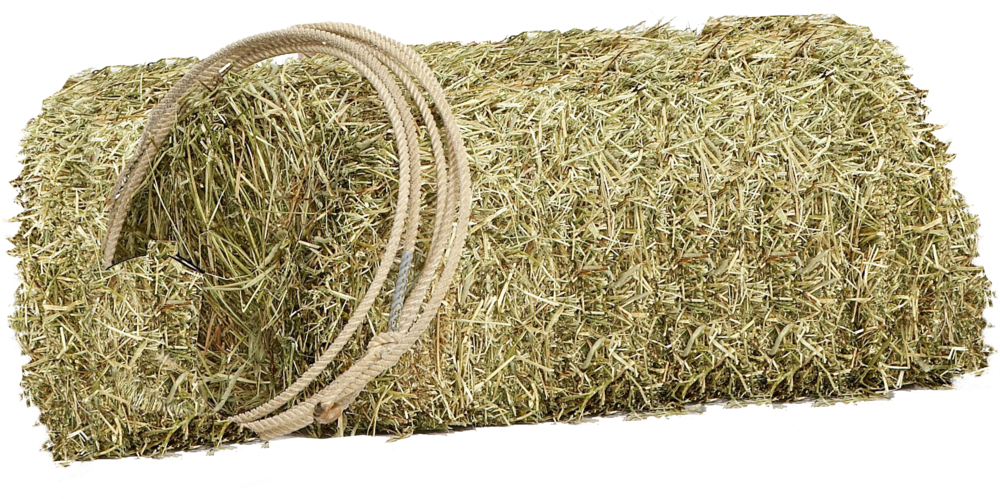 Hay And Lasso Png By Yotoots On Deviantart Hay And Lasso Png By Yotoots On Deviantart
