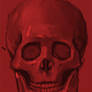 red skull life study