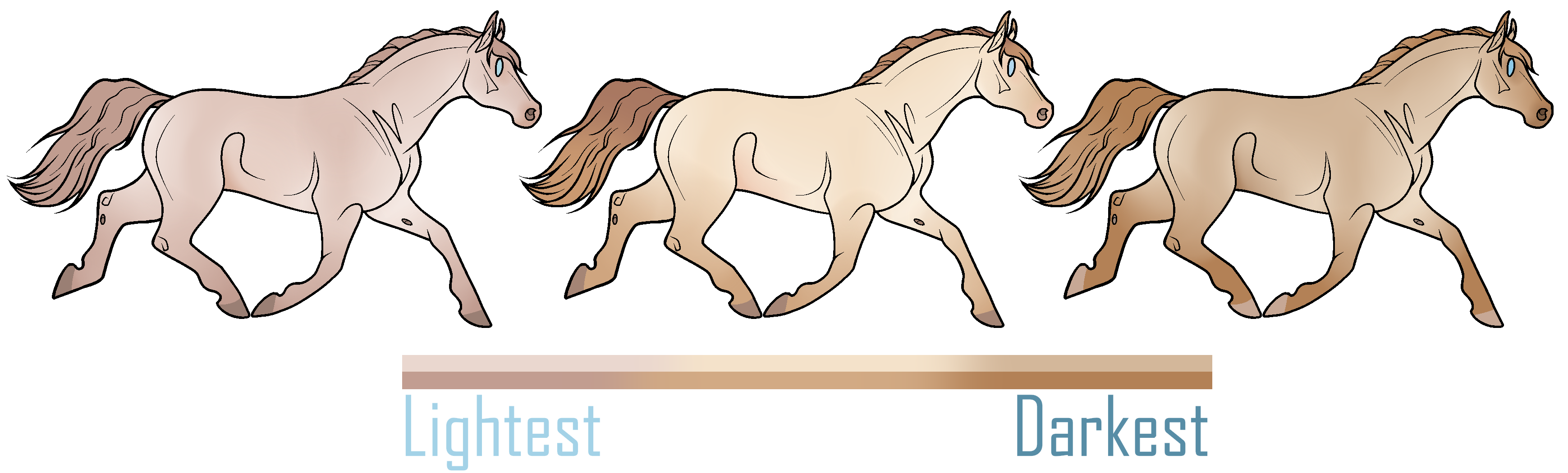 Coat Color Guide 2023 | Perlino