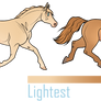 Coat Color Guide 2023 | Chestnut Pearl
