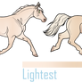 Coat Color Guide 2023 | Palomino Pearl