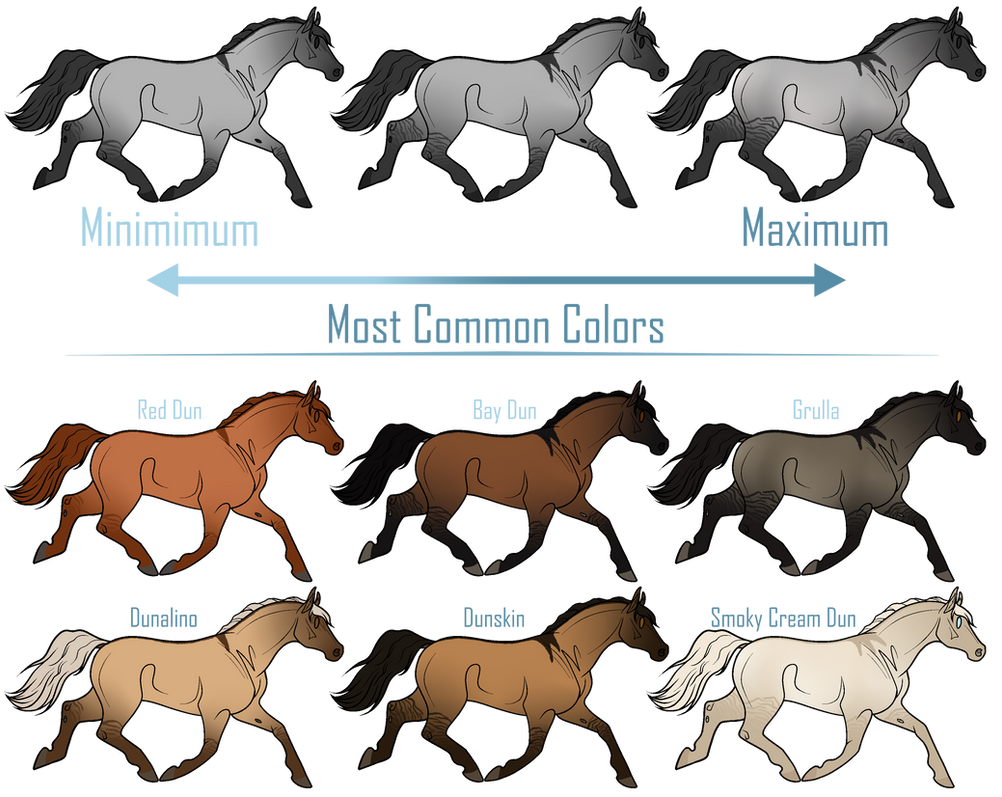Coat Color Guide 2023 | Dun by Hunter-Raider on DeviantArt