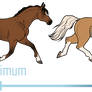 Coat Color Guide 2023 | Ermine Spots