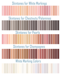 Horse Skin Tones and Marking Colors - F2U