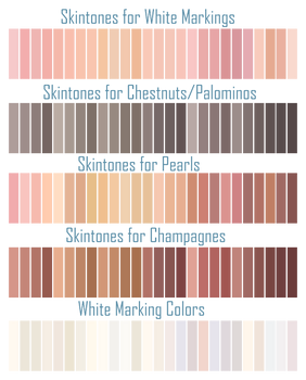 Horse Skin Tones and Marking Colors - F2U