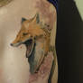 FOX WIP