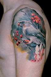 Bird Healed