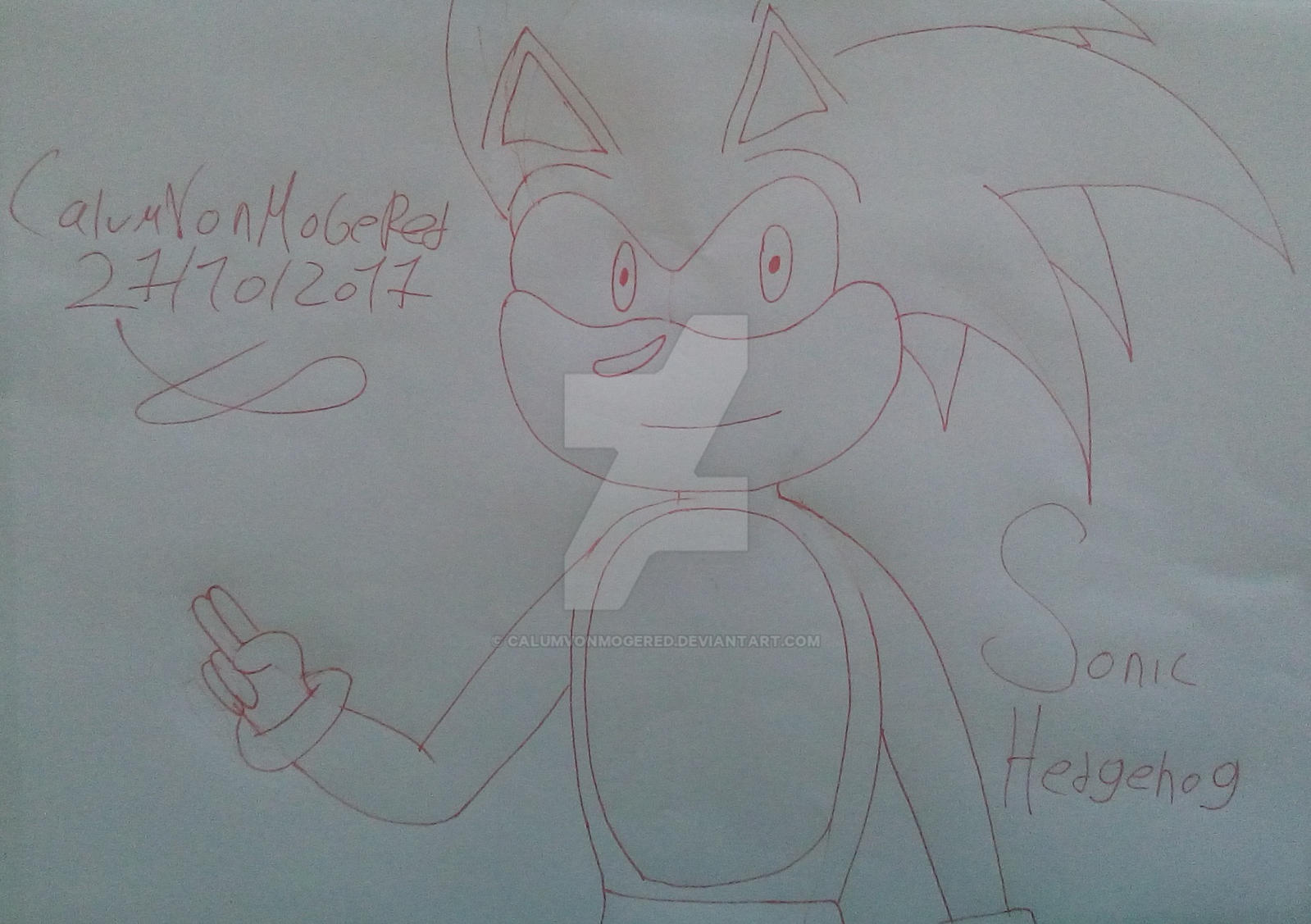 Sonic Hedgehod by CalumVonMogeRed on DeviantArt
