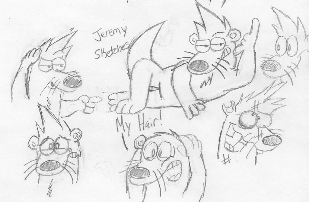 Jeremy The Racoon Jeremy Sketches by RonRaccoon on DeviantArt
