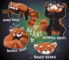 Beans the Red Panda