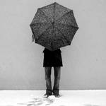 hidden by concision