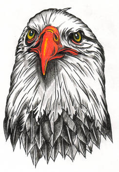 Eagle Head