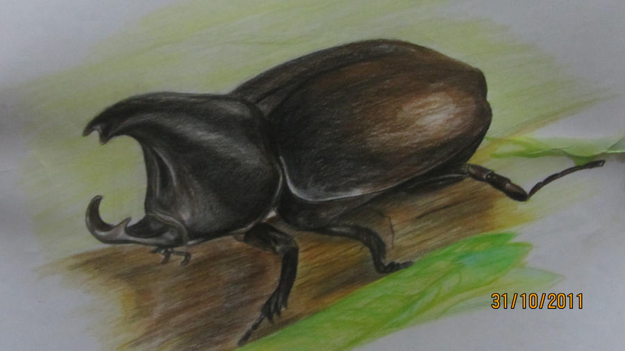 insect by AgaBlackjack on DeviantArt