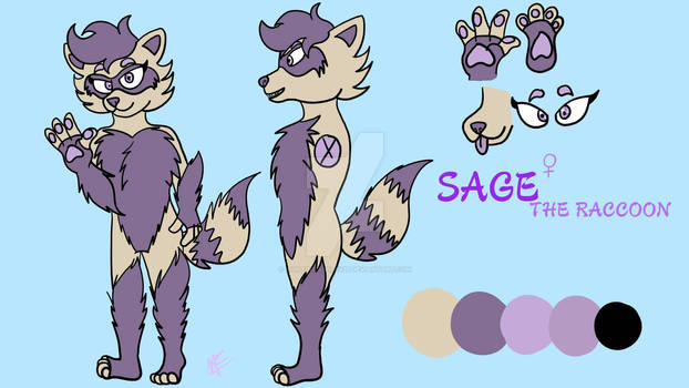 Sage the Raccoon ref 2.0