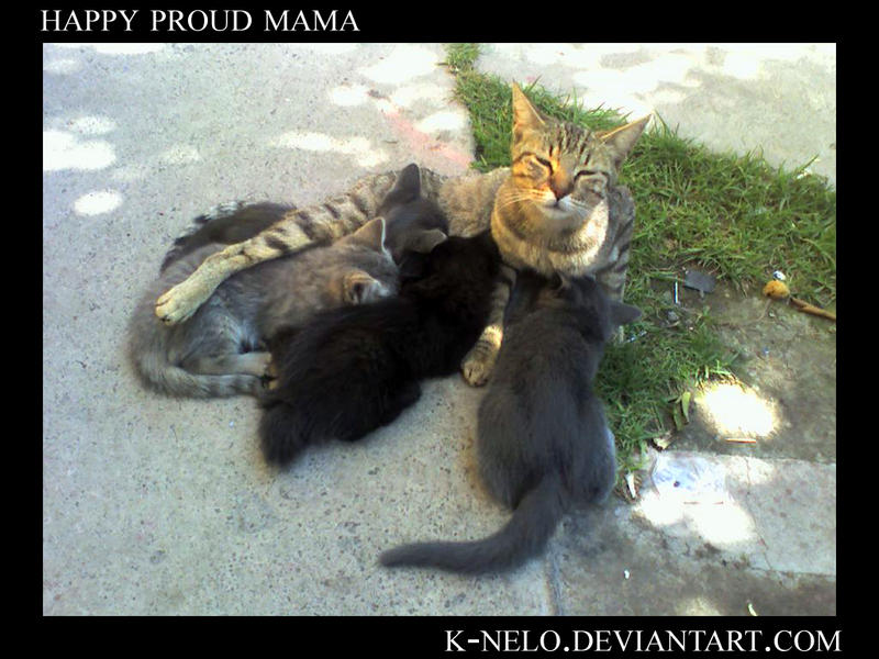 Happy Proud Mama