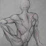 back anatomy - drawing