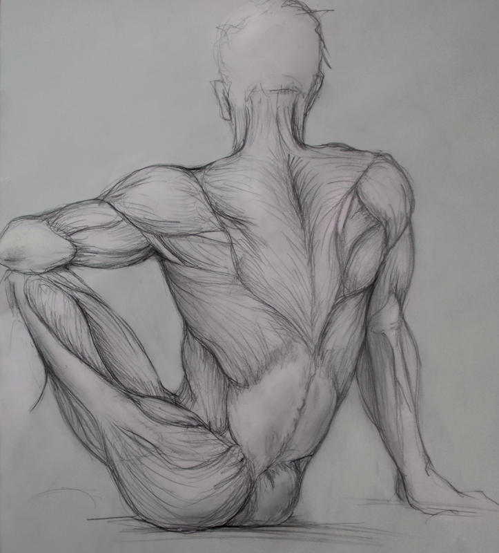 Красивые рисунки тела. Мужское тело для рисования. Тело карандашом. Анатомические зарисовки. Зарисовки тела.