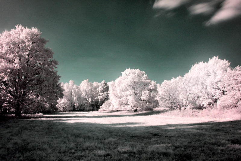 IR Trainierbahn Hoppegarten