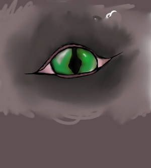 i drew another eye.....what a surprise