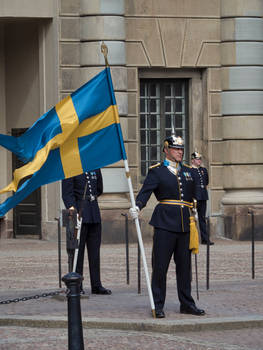 Flag bearer