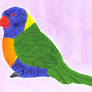 Rainbow Lorikeet