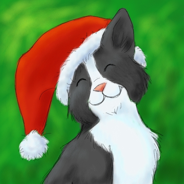 Christmas cat with Christmas hat