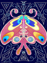 Mystical Moth