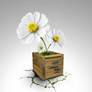 flowerbox