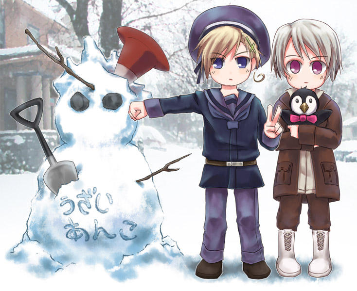 APH-Norway and Iceland