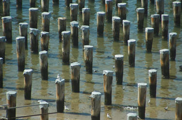 Broken Pier