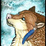 The Truth Behind the Rose - ACEO AT