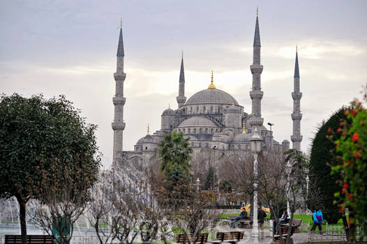 Sultan Ahmed Mosque I