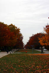 Ubc in the day