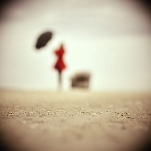 My Red solitude by incisler