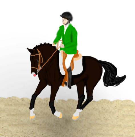 MFS Mini Events: Dressage